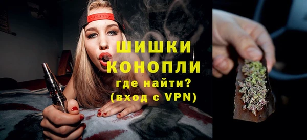 индика Вязьма