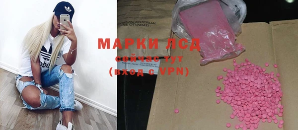 спиды Вяземский