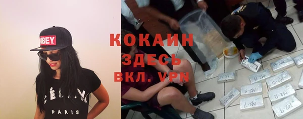 спиды Вяземский