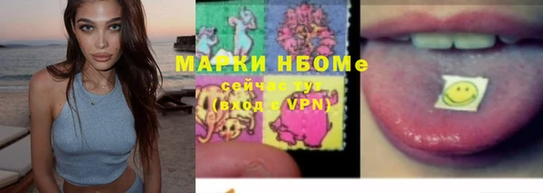 спиды Вяземский