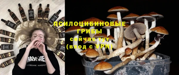 индика Вязьма