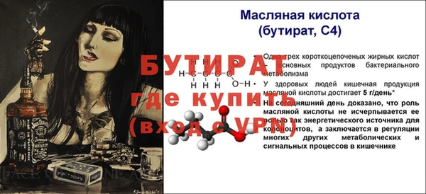 индика Вязьма
