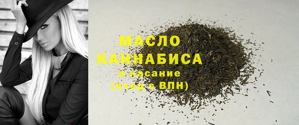 индика Вязьма