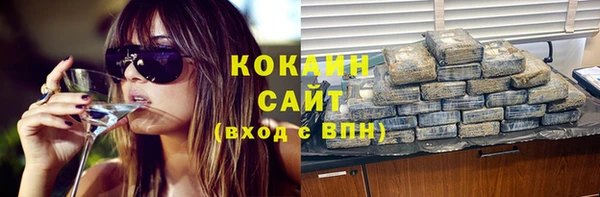 спиды Вяземский